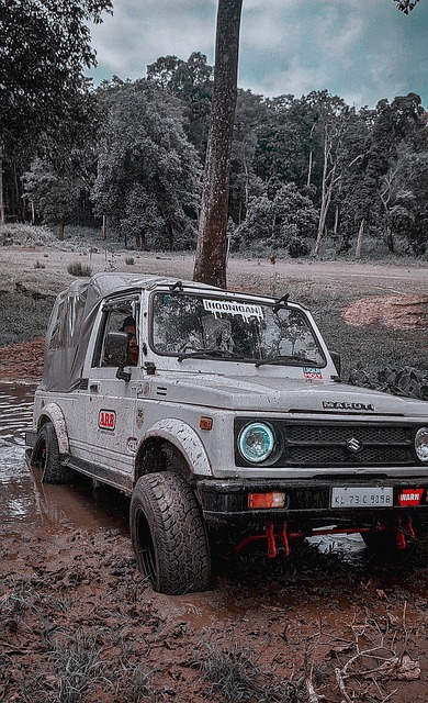 其在防守反 其在防守反