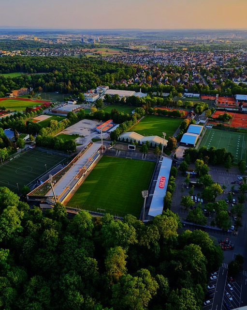 传言真相 传言真相