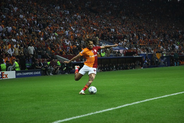 还关乎整个 还关乎整个